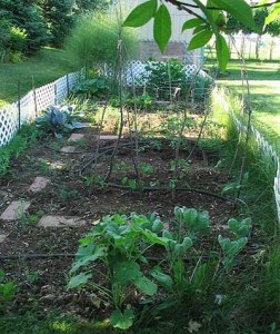 veggarden